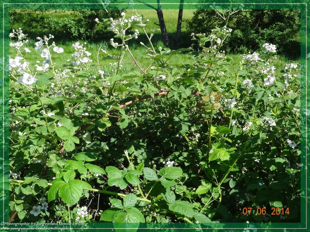 Philosophische Bildwanderung Gersprenztal-Runde - Panoramatour bei Reichelsheim - Odenwald