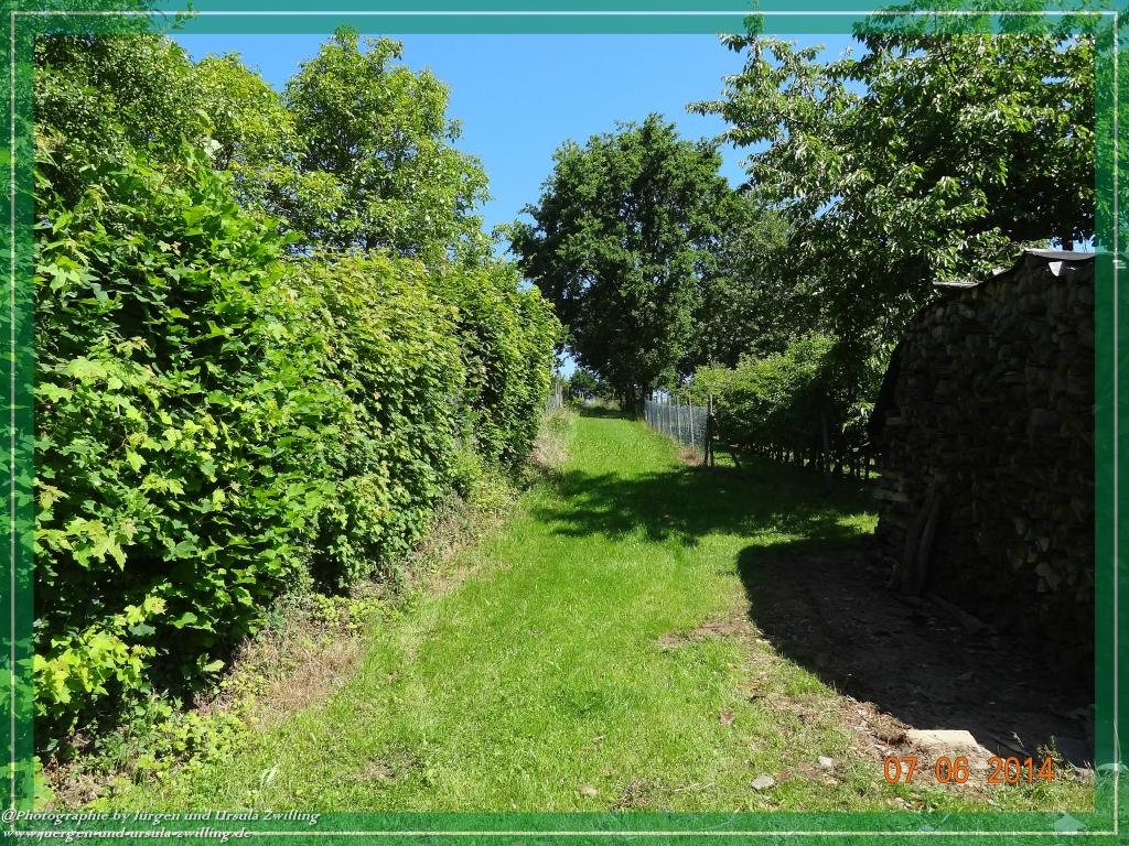 Philosophische Bildwanderung Gersprenztal-Runde - Panoramatour bei Reichelsheim - Odenwald