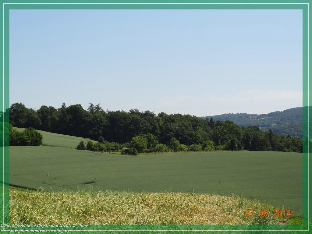 Philosophische Bildwanderung Gersprenztal-Runde - Panoramatour bei Reichelsheim - Odenwald