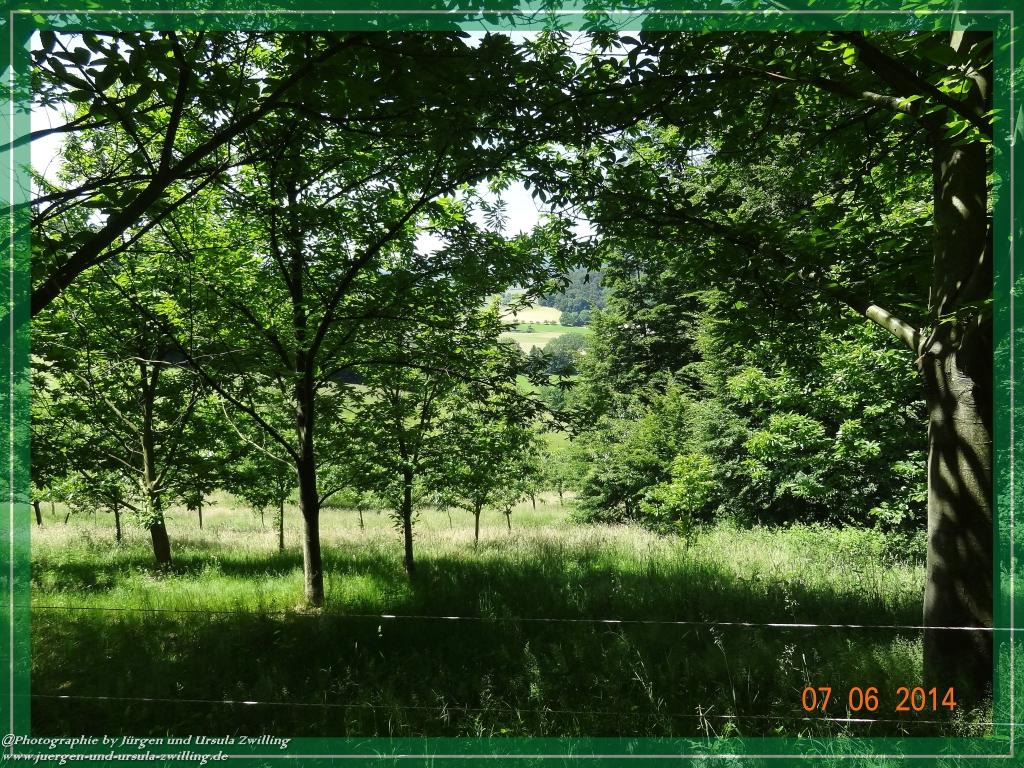 Philosophische Bildwanderung Gersprenztal-Runde - Panoramatour bei Reichelsheim - Odenwald