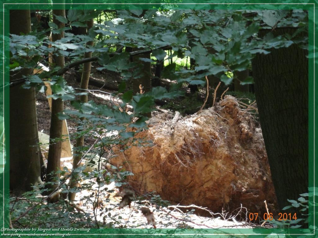Philosophische Bildwanderung Gersprenztal-Runde - Panoramatour bei Reichelsheim - Odenwald