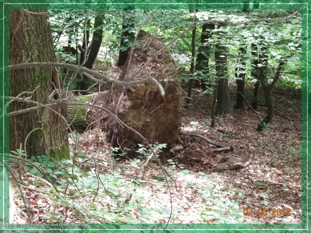 Philosophische Bildwanderung Gersprenztal-Runde - Panoramatour bei Reichelsheim - Odenwald