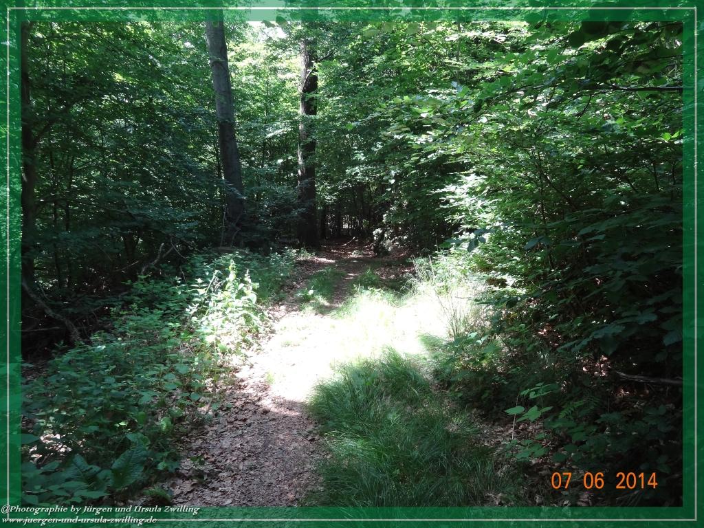 Philosophische Bildwanderung Gersprenztal-Runde - Panoramatour bei Reichelsheim - Odenwald