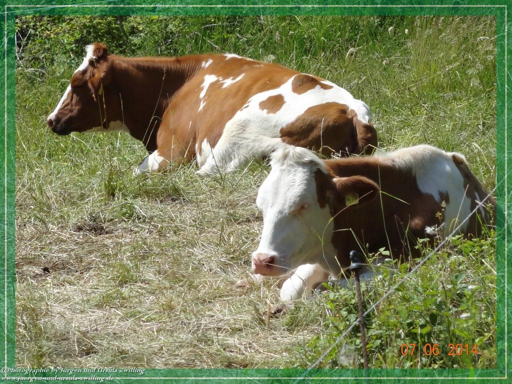 Philosophische Bildwanderung Gersprenztal-Runde - Panoramatour bei Reichelsheim - Odenwald