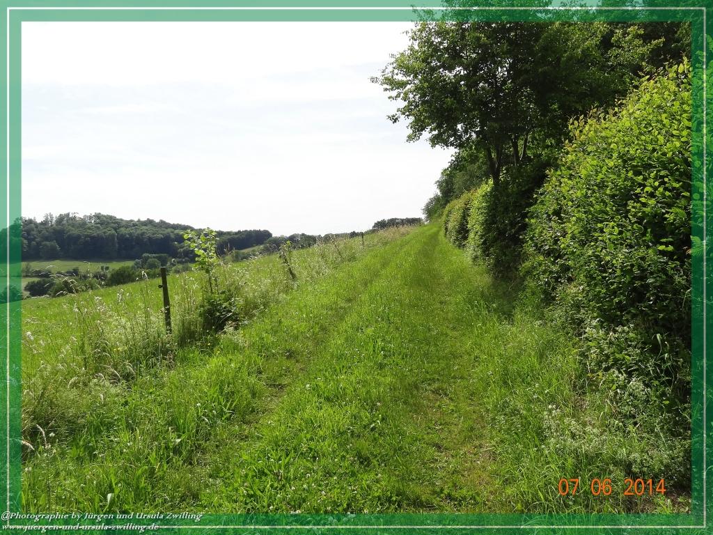 Philosophische Bildwanderung Gersprenztal-Runde - Panoramatour bei Reichelsheim - Odenwald