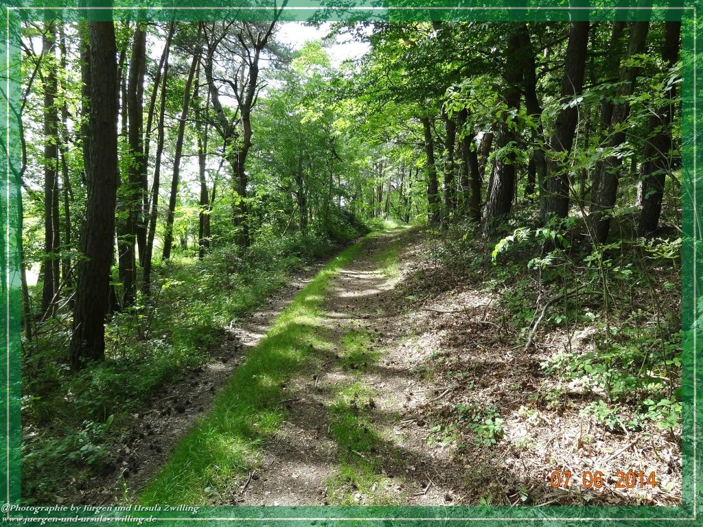 Philosophische Bildwanderung Gersprenztal-Runde - Panoramatour bei Reichelsheim - Odenwald