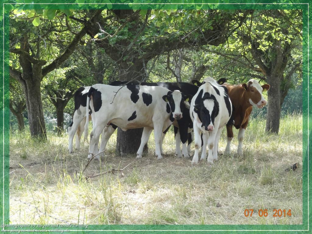 Philosophische Bildwanderung Gersprenztal-Runde - Panoramatour bei Reichelsheim - Odenwald