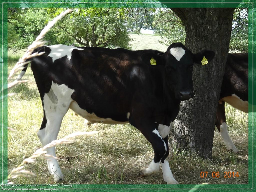 Philosophische Bildwanderung Gersprenztal-Runde - Panoramatour bei Reichelsheim - Odenwald