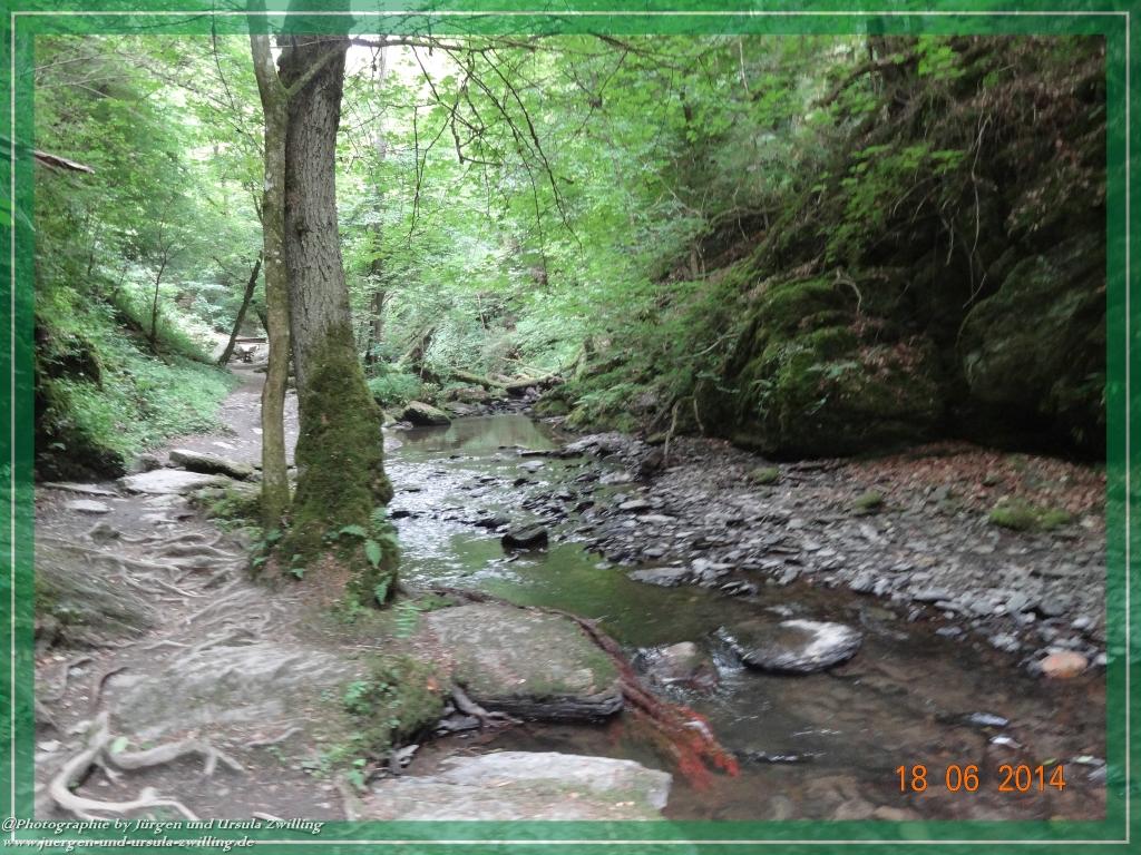 Philosophische Bildwanderung - Ehrbachklamm - Die Große Traumschleife - Hunsrück