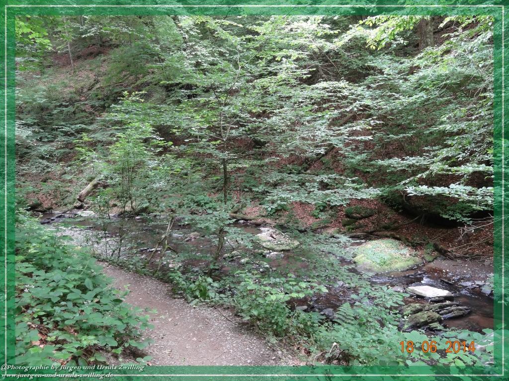 Philosophische Bildwanderung - Ehrbachklamm - Die Große Traumschleife - Hunsrück