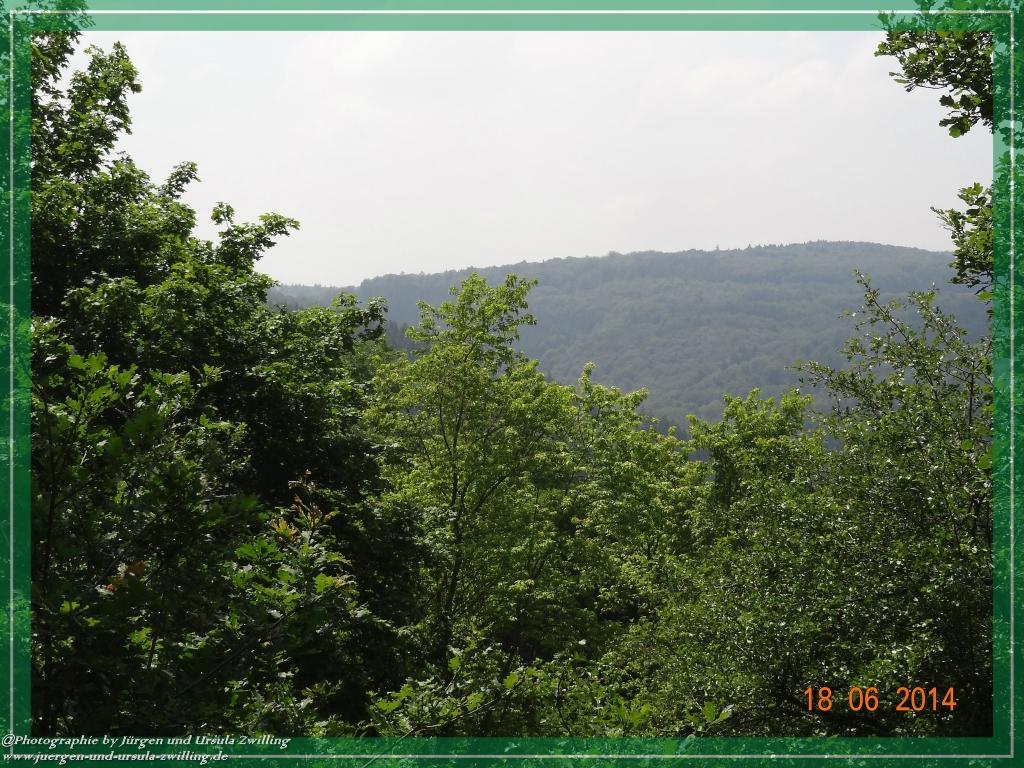 Philosophische Bildwanderung - Ehrbachklamm - Die Große Traumschleife - Hunsrück