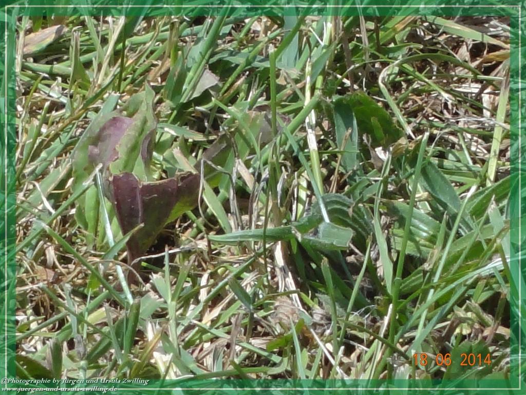 Philosophische Bildwanderung - Ehrbachklamm - Die Große Traumschleife - Hunsrück