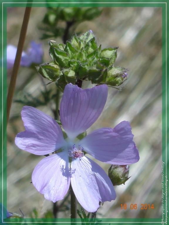 Philosophische Bildwanderung - Ehrbachklamm - Die Große Traumschleife - Hunsrück