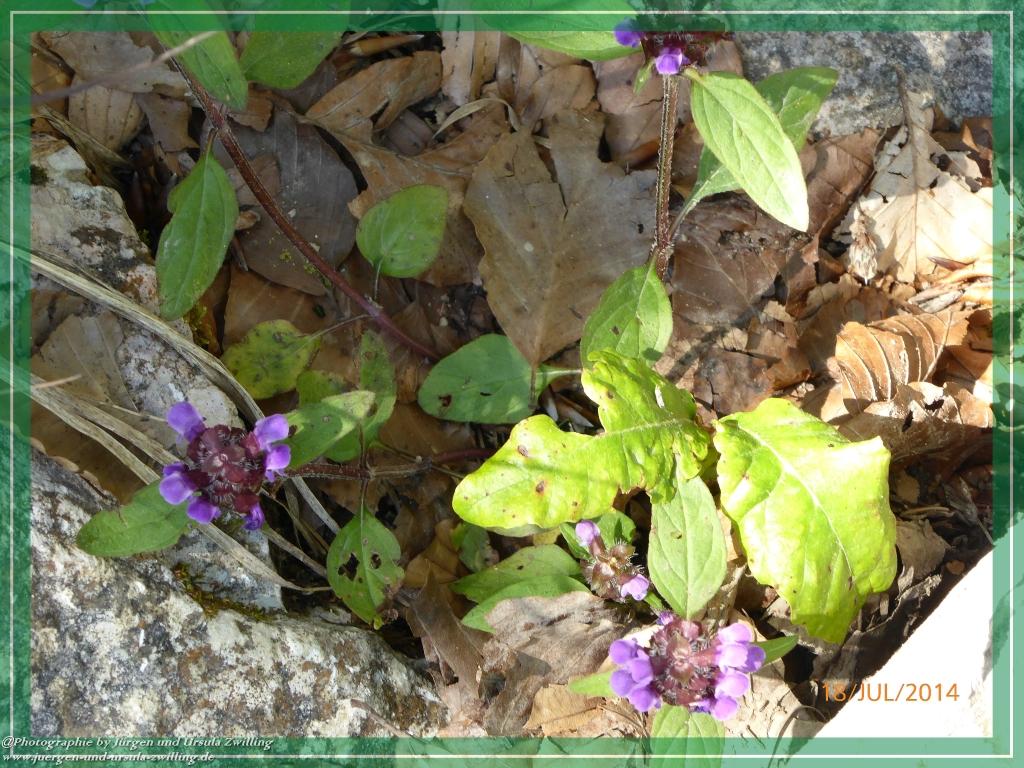 Philosophische Bildwanderung - Hochalm - Hochalmscharte Berchtesgaden - Ramsau
