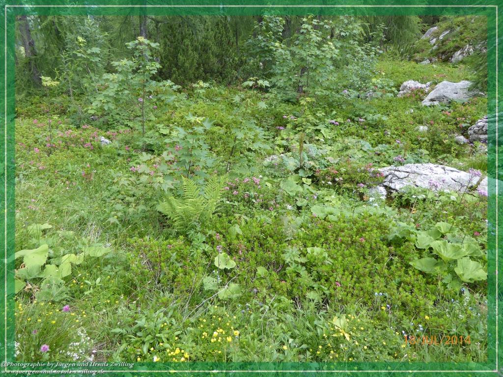 Philosophische Bildwanderung - Hochalm - Hochalmscharte Berchtesgaden - Ramsau