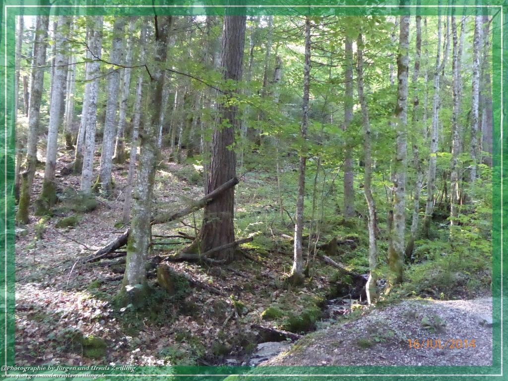 Philosophische Bildwanderung Watzmannhaus - Berchtesgaden