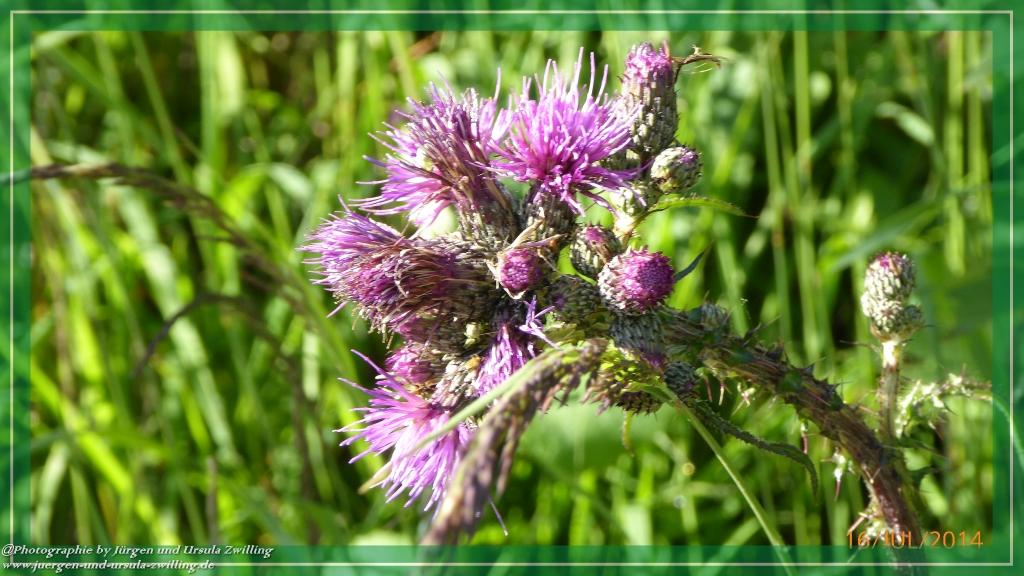 Philosophische Bildwanderung Watzmannhaus - Berchtesgaden