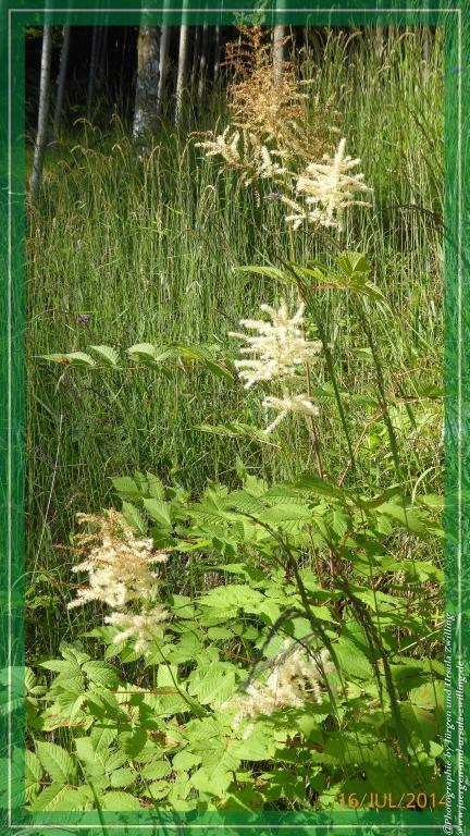 Philosophische Bildwanderung Watzmannhaus - Berchtesgaden