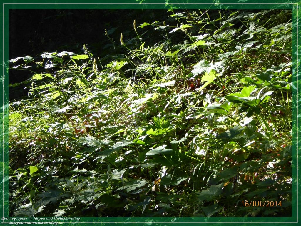 Philosophische Bildwanderung Watzmannhaus - Berchtesgaden