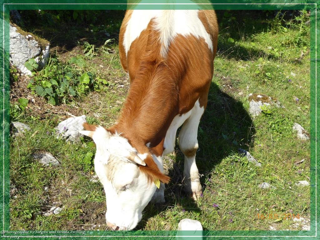Philosophische Bildwanderung Watzmannhaus - Berchtesgaden