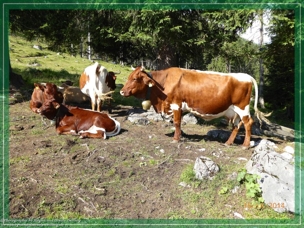 Philosophische Bildwanderung Watzmannhaus - Berchtesgaden