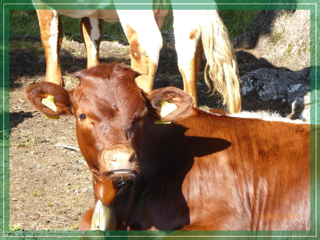 Philosophische Bildwanderung Watzmannhaus - Berchtesgaden