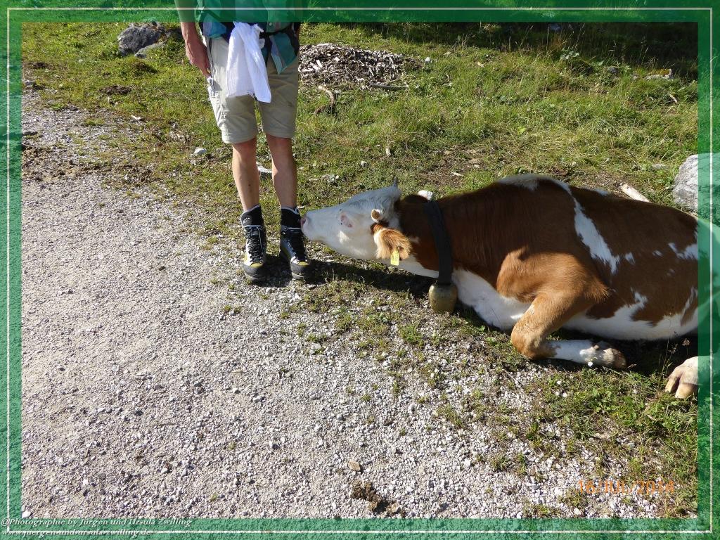 Philosophische Bildwanderung Watzmannhaus - Berchtesgaden