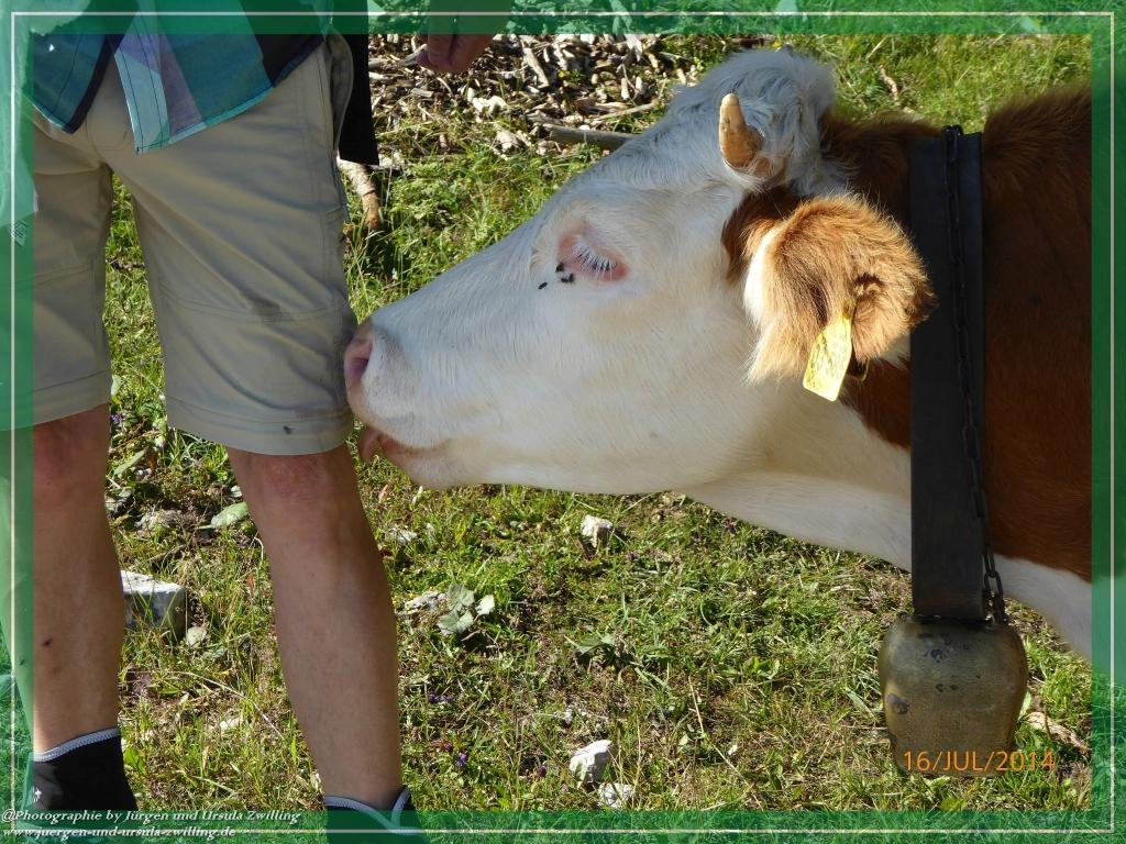 Philosophische Bildwanderung Watzmannhaus - Berchtesgaden