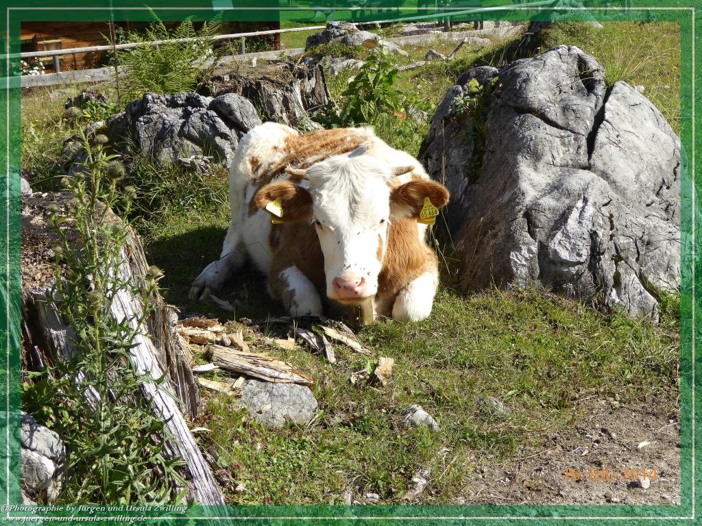 Philosophische Bildwanderung Watzmannhaus - Berchtesgaden