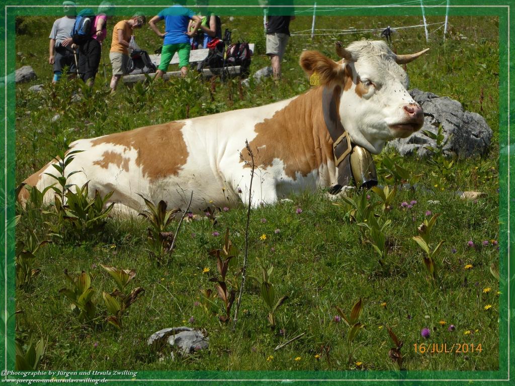 Philosophische Bildwanderung Watzmannhaus - Berchtesgaden