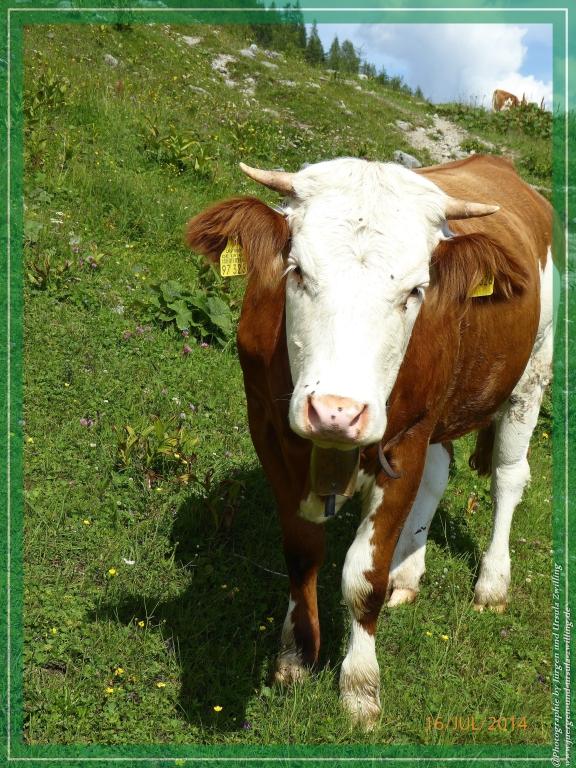 Philosophische Bildwanderung Watzmannhaus - Berchtesgaden