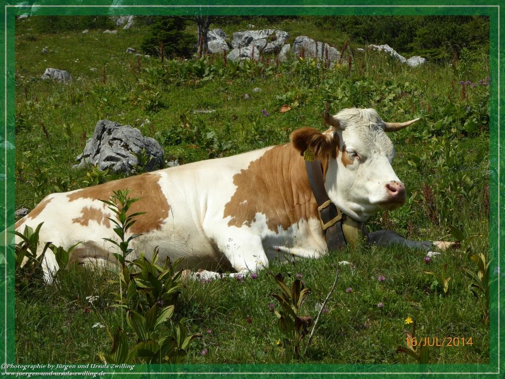 Philosophische Bildwanderung Watzmannhaus - Berchtesgaden