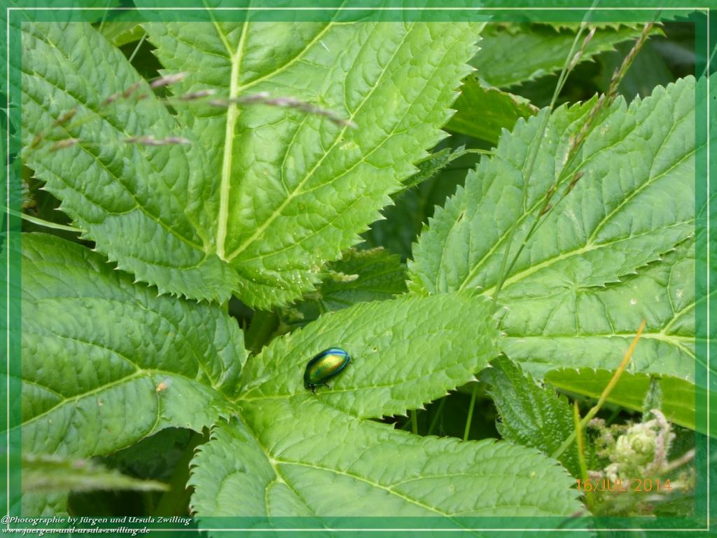 Philosophische Bildwanderung Watzmannhaus - Berchtesgaden
