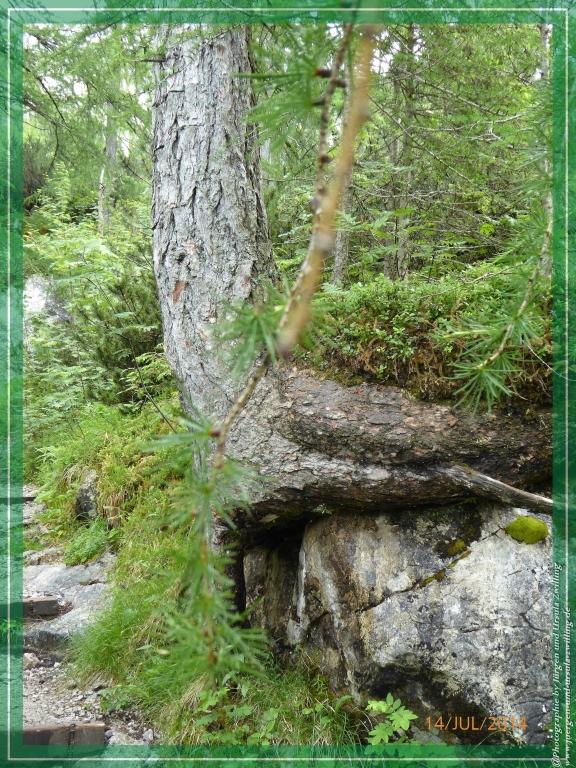 Philosophische Bildwanderung - Blaueishütte - Berchtesgaden - Ramsau