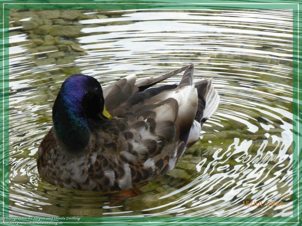 Philosophische Bildwanderung - Kessel-Königsee - Gotzentalalm -Königsbachalm - Berchtesgaden