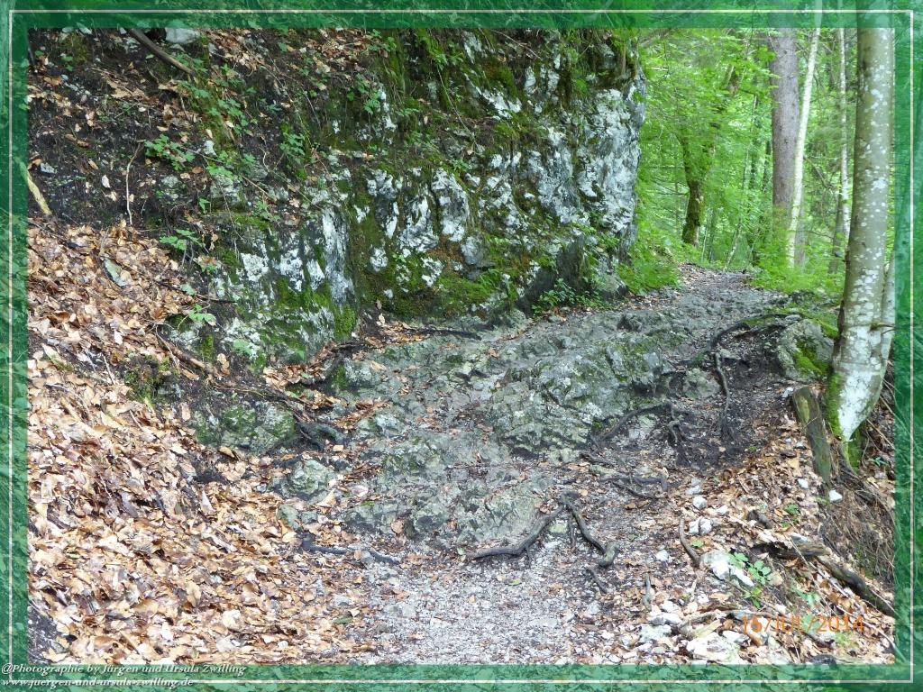 Philosophische Bildwanderung - Kessel-Königsee - Gotzentalalm -Königsbachalm - Berchtesgaden