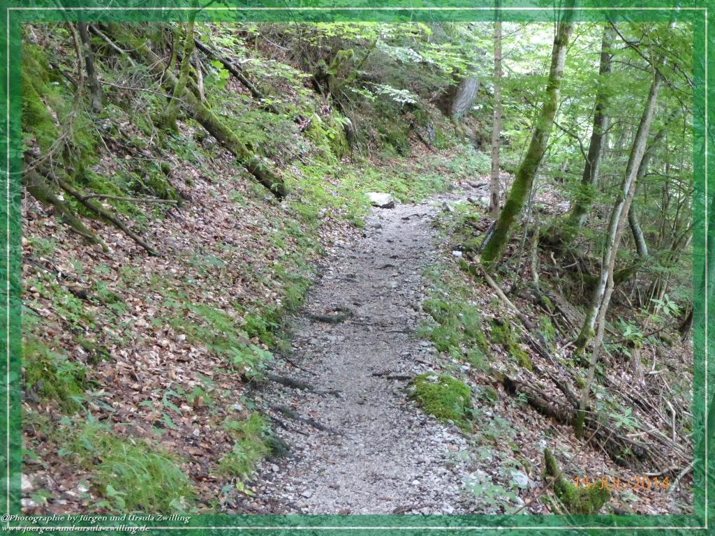 Philosophische Bildwanderung - Kessel-Königsee - Gotzentalalm -Königsbachalm - Berchtesgaden