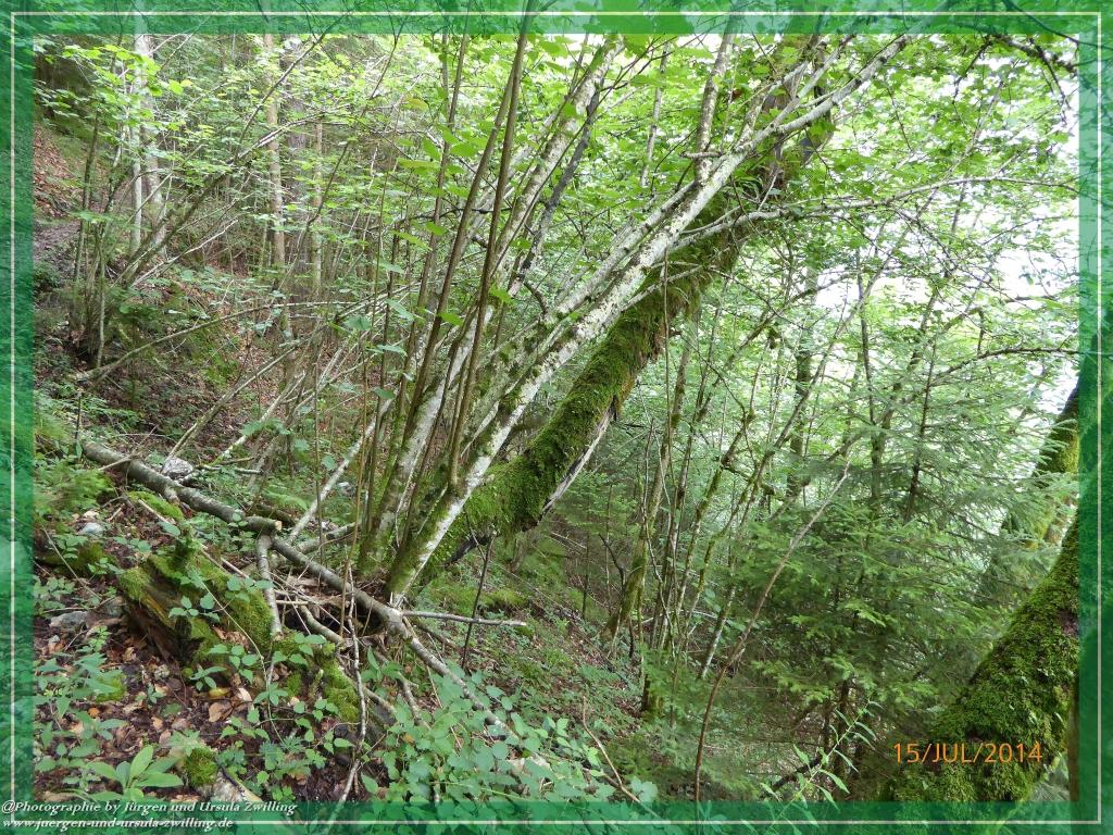 Philosophische Bildwanderung - Kessel-Königsee - Gotzentalalm -Königsbachalm - Berchtesgaden