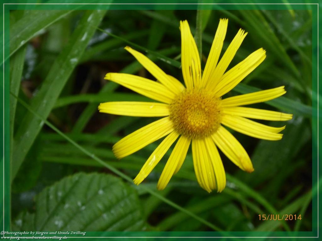 Philosophische Bildwanderung - Kessel-Königsee - Gotzentalalm -Königsbachalm - Berchtesgaden