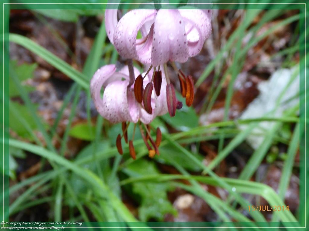 Philosophische Bildwanderung - Kessel-Königsee - Gotzentalalm -Königsbachalm - Berchtesgaden
