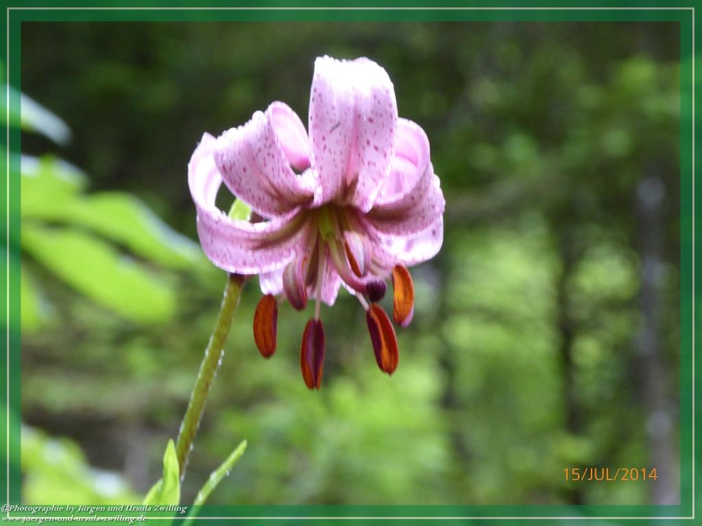 Philosophische Bildwanderung - Kessel-Königsee - Gotzentalalm -Königsbachalm - Berchtesgaden