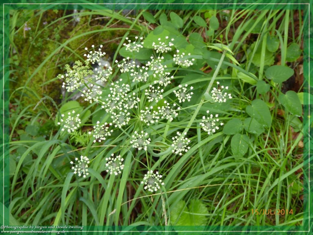 Philosophische Bildwanderung - Kessel-Königsee - Gotzentalalm -Königsbachalm - Berchtesgaden