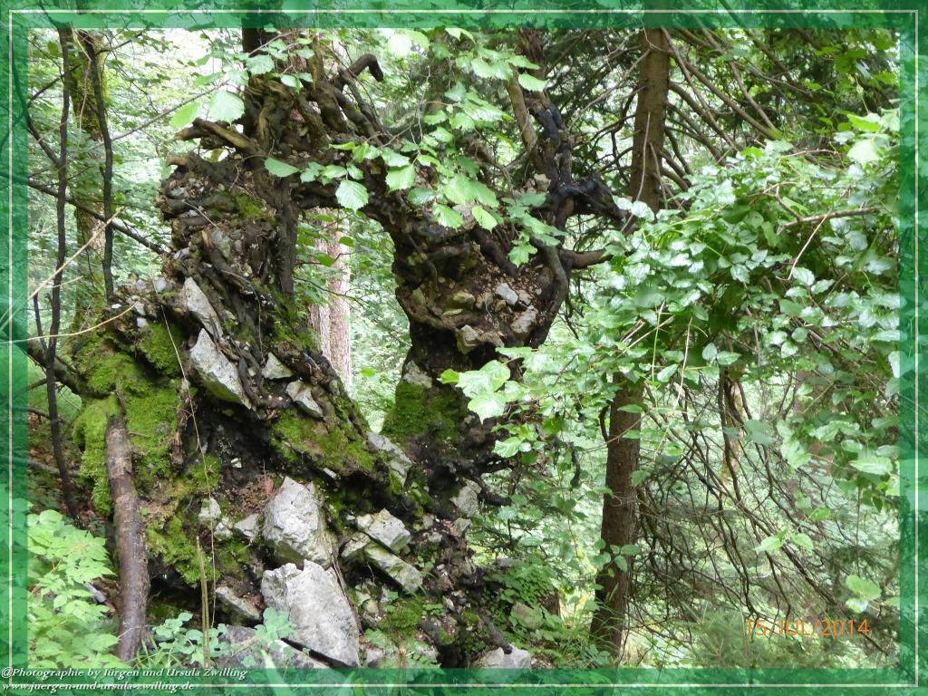 Philosophische Bildwanderung - Kessel-Königsee - Gotzentalalm -Königsbachalm - Berchtesgaden