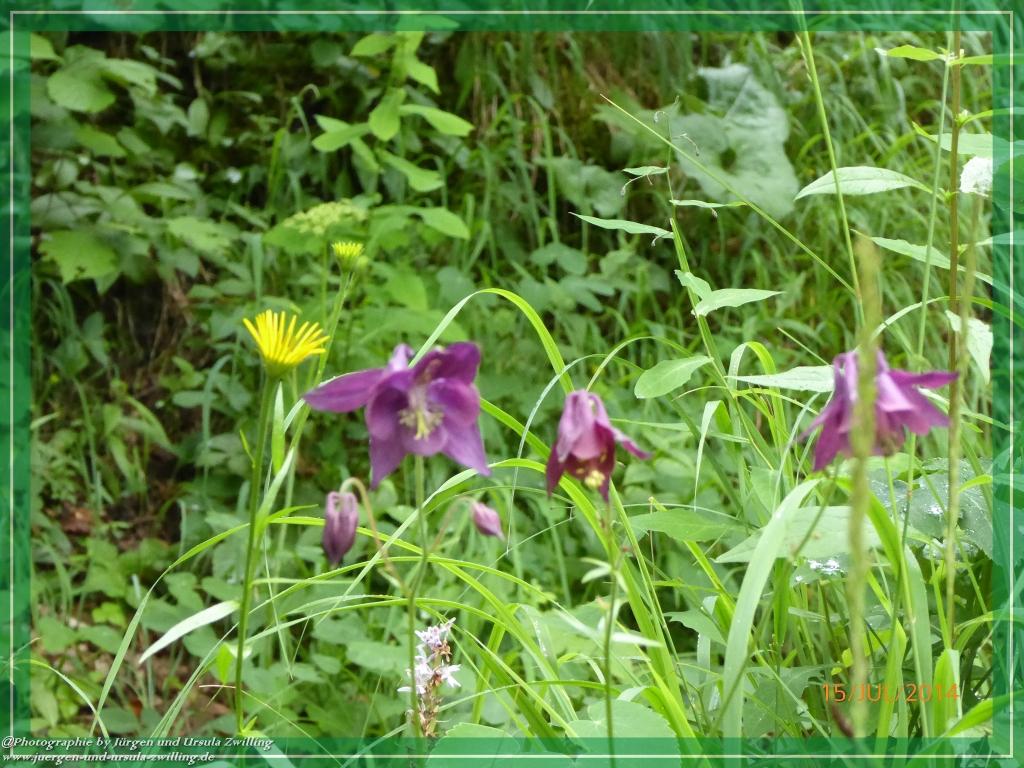 Philosophische Bildwanderung - Kessel-Königsee - Gotzentalalm -Königsbachalm - Berchtesgaden
