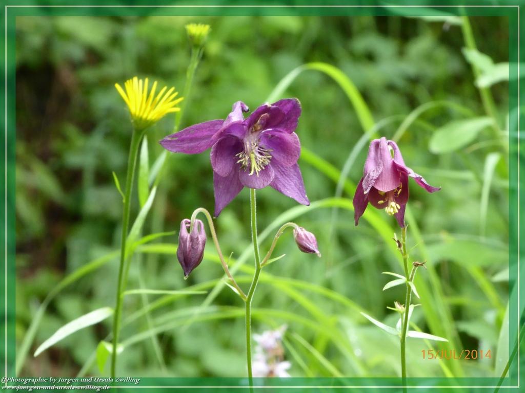 Philosophische Bildwanderung - Kessel-Königsee - Gotzentalalm -Königsbachalm - Berchtesgaden
