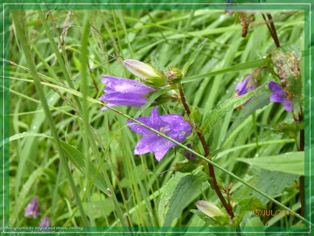 Philosophische Bildwanderung - Kessel-Königsee - Gotzentalalm -Königsbachalm - Berchtesgaden