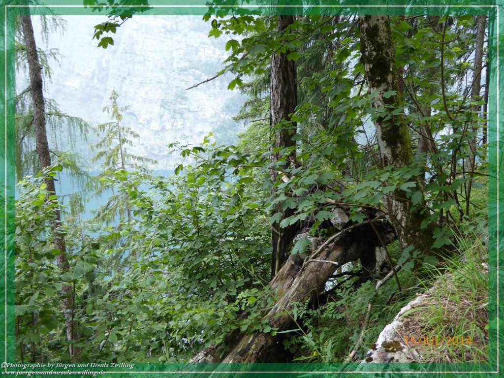 Philosophische Bildwanderung - Kessel-Königsee - Gotzentalalm -Königsbachalm - Berchtesgaden