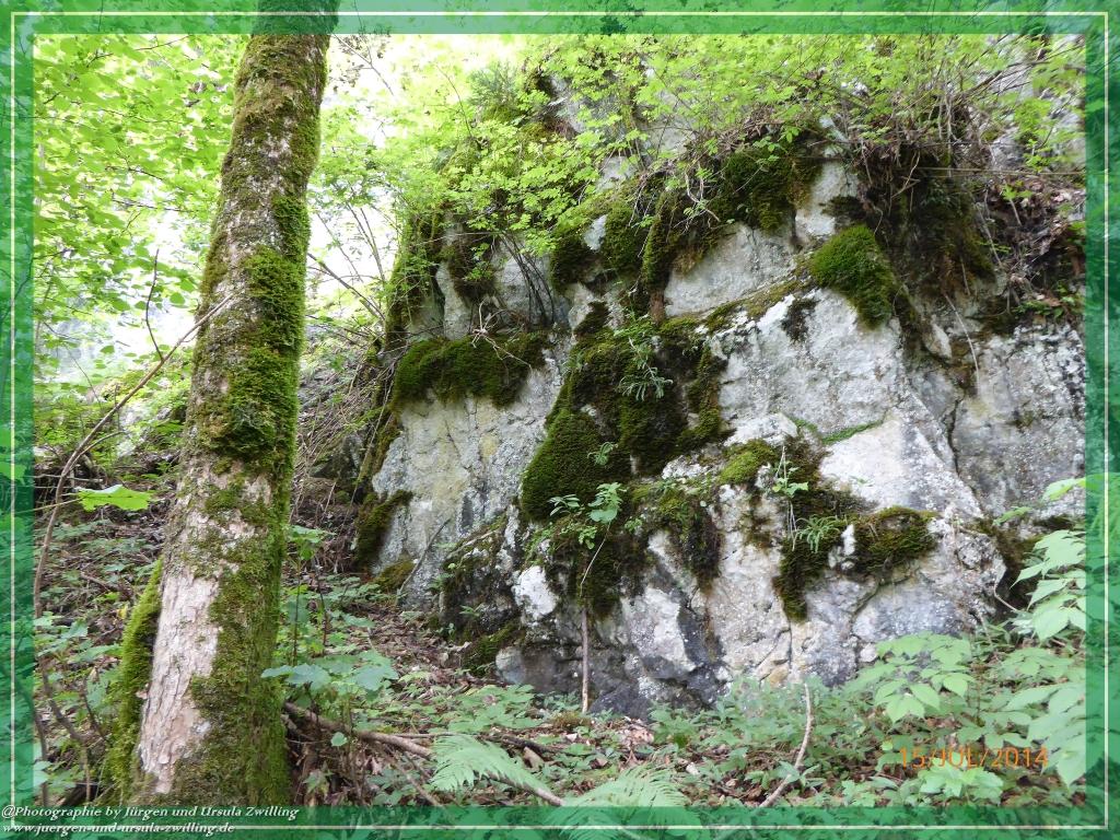 Philosophische Bildwanderung - Kessel-Königsee - Gotzentalalm -Königsbachalm - Berchtesgaden