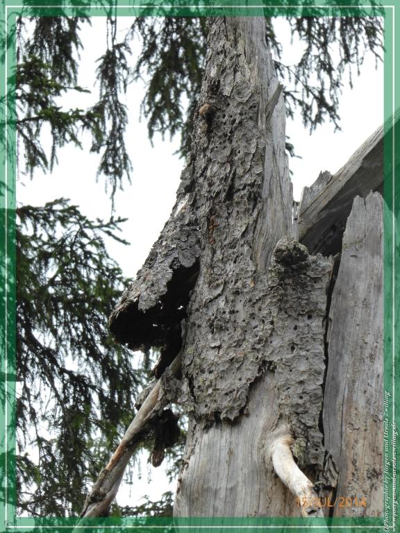 Philosophische Bildwanderung - Kessel-Königsee - Gotzentalalm -Königsbachalm - Berchtesgaden