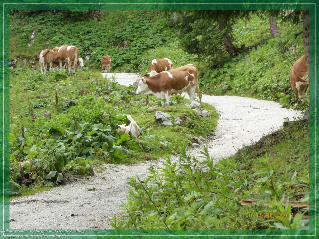 Philosophische Bildwanderung - Kessel-Königsee - Gotzentalalm -Königsbachalm - Berchtesgaden